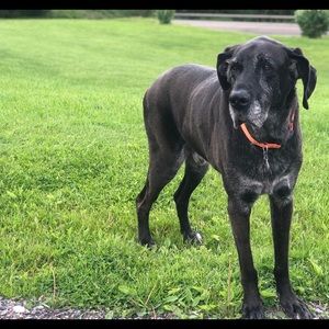 Meet your Posher, Fe